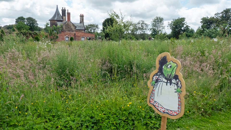The Wild Garden
